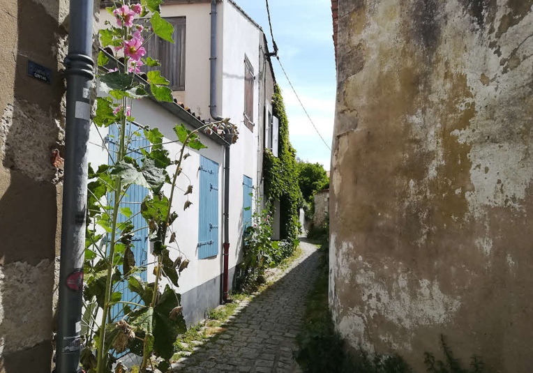 Une paisible ruelle de Saint-Martin-de-Ré © C.C. Halusiak/ABCfeminin.com.