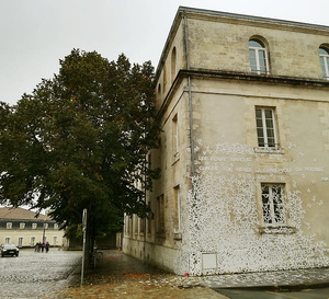 Les incontournables des Charentes : de l'exotisme et un patrimoine architectural unique