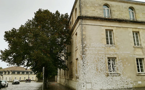 Les incontournables des Charentes : de l'exotisme et un patrimoine architectural unique